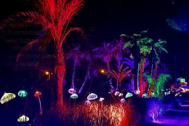 IBIZA: Astro Magic Lights im Bibo Park