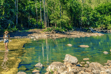 Mauritius: Guidad vandring i Black River Gorges med upphämtning på hotellet
