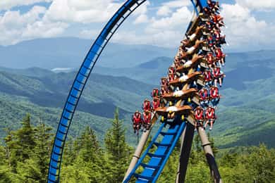 Dollywood Theme Park Entry Ticket