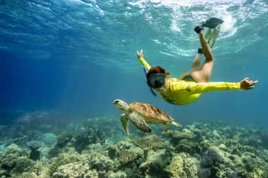 Cape Tribulation Ocean Safari - Great Barrier Reef Adventure