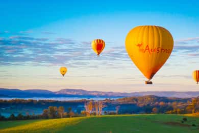 Gold Coast: Hot Air Balloon Flight and Vineyard Breakfast
