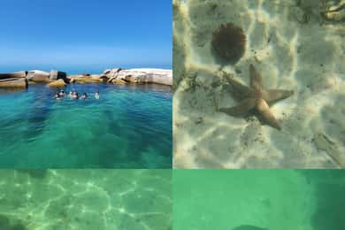 St Pete Beach: Tour privato in barca per lo snorkeling e gli sport acquatici
