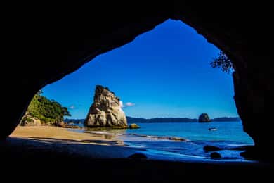From Auckland: Cathedral Cove & Hot Water Beach Tour