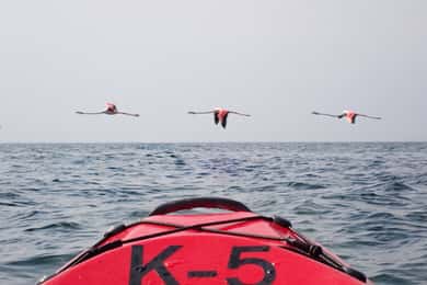 Kayak Dune-dag