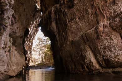 San Cristobal : excursion d'une journée à Arcotete et aux grottes de Rancho Nuevo