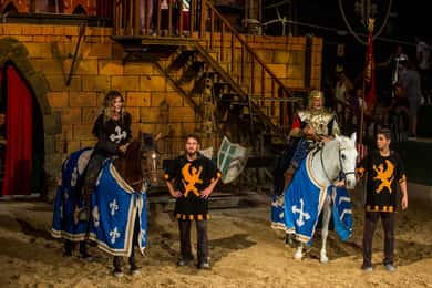 Benidorm: Cena con espectáculo en Magic Robin Hood