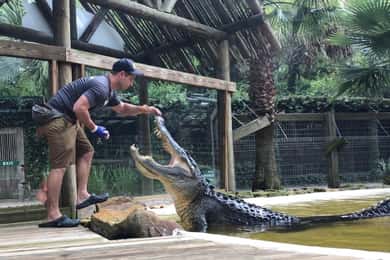 Orlando: Wild Florida Park Biljett och Gator Shows