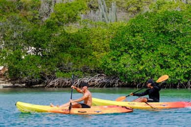 2 uur durende kajaktour op Curacao