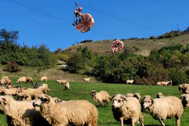 Cluj: Outdoor-Aktivitäten Tagesausflug mit Zip Line und Wanderung