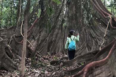 Leticia: Amazing Three Day Jungle Tours