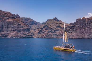Costa Adeje: Masca og Los Gigantes hvalsafari