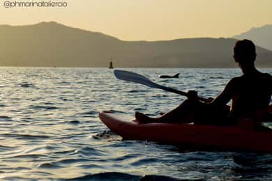 Golfo Aranci: Delfin-Kajaktour bei Sonnenuntergang mit Aperitif