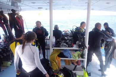 Aqaba: boottocht met 2 begeleide duiken met uitrusting en lunchbuffet