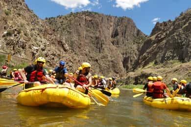 Cañon City: Royal Gorge Half-Day Whitewater Rafting
