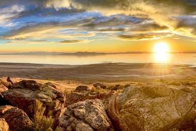 Salt Lake City: Great Salt Lake Wildlife & Sunset Experience