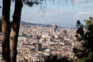 Montjuïc Walking Tour With Optional Flamenco Show
