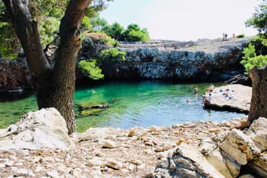 Dubrovnik ou Cavtat : L'île de Lokrum et la grotte de Betina en bateau