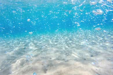 Kos: Paradise Beach Return Transfer