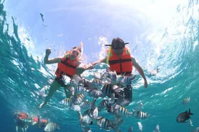 Cozumel: Clear Boat & Snorkel Tour