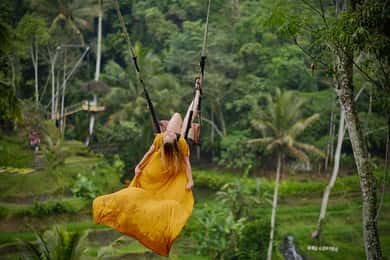 Ubud: Terraço de arroz de Tegalalang: excursão fotográfica com ingresso de balanço