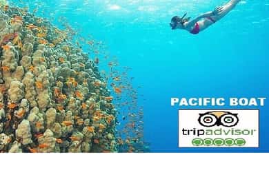 Hoi An/Da Nang: Snorkling og øyhopping med hurtigbåt