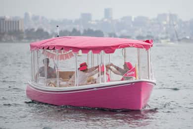 Lyserød privat bådtur i San Diego! Polterabend-fødselsdag