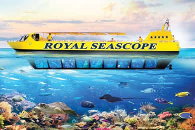 From Safaga: Royal Seascope Submarine with Snorkeling