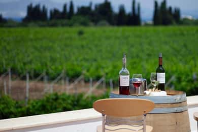 From Kos: Tour of 2 Wineries with Wine Tasting & Small Bites