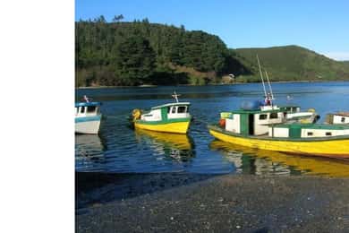 Puerto Varas: Tour privato della città di Puerto Montt e Puerto Varas