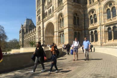London: Eintrittskarte und Führung durch das Natural History Museum