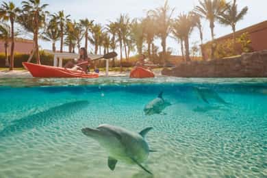 Dubai: Atlantis Delphin-Kajakfahrt & Aquaventure Wasserpark