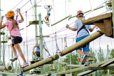 Entrada al Parque Euca Tigre con traslados en furgoneta