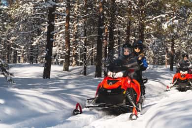 Rovaniemi: Safari em mota de neve na floresta do Círculo Polar Ártico