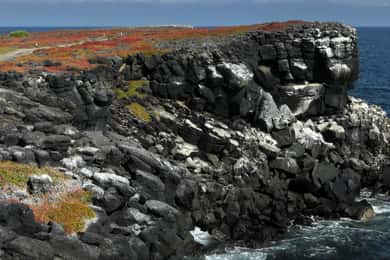 Puerto Ayora: South Plazas & Punta Carrion Wildlife Day Tour