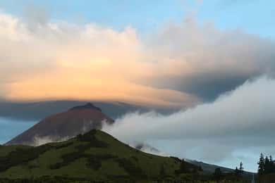 Pico Day Tour: Get to know Pico Island with a local guide