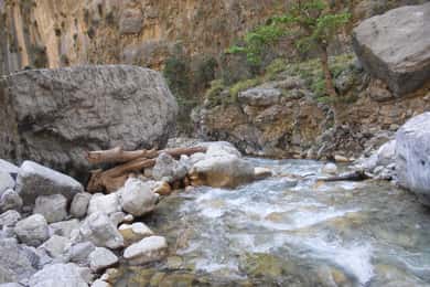 From Agia Galini/Matala: Samaria Gorge Hiking Tour