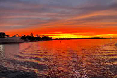 Hilton Head: 2 Hour Large Group Tour (7-20 people)