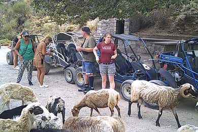 Buggy safari Crete (Transfer and lunch) analipsi- hersonisos