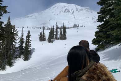 Seattle: Mt. Rainier Hiking w/ Waterfalls, Glaciers & Trees