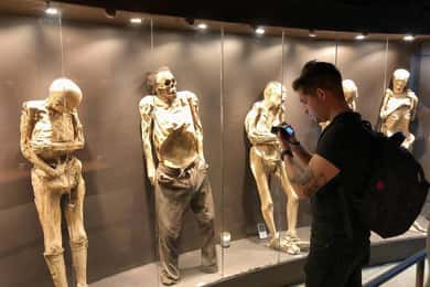 Privétour Musea en Mijnen van Guanajuato