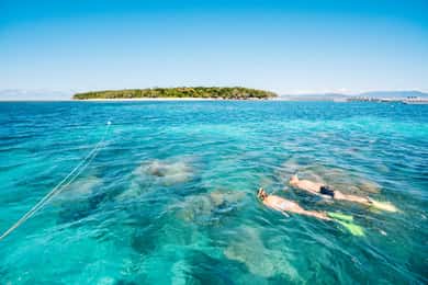 Cairns: Green Island Snorkelling or Glass Bottom Boat