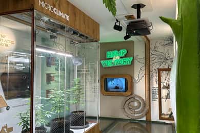 Inngangsbillett til Cannabismuseet