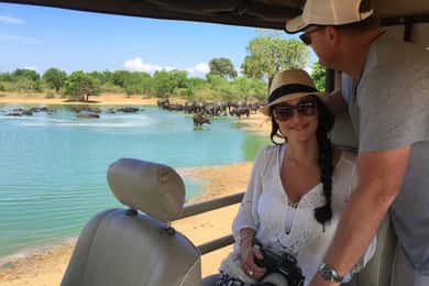 Udawalawe: Privat safari All Inclusive dagsutflykt med lunch