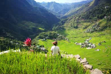 De Manila: Sagada de 4 dias e excursão aos terraços de arroz de Banaue