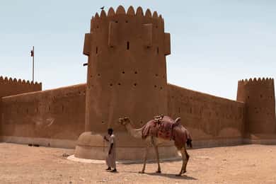 Doha: Combo Heritage & Art Tour of North and West Qatar