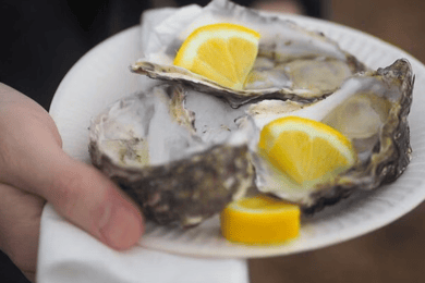Van Dubrovnik: dagtour naar Ston & Oyster-proeverij