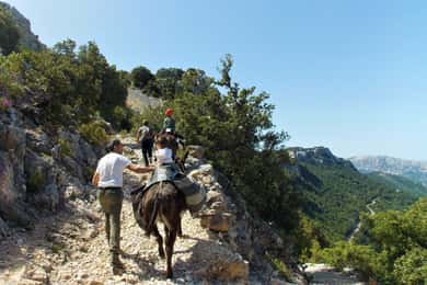 Donkey walk in Suttaterra forest from Dorgali