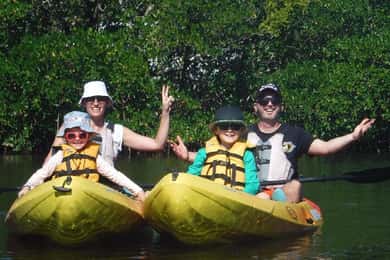 Fort Myers: Guided Kayaking Eco Tour in Pelican Bay