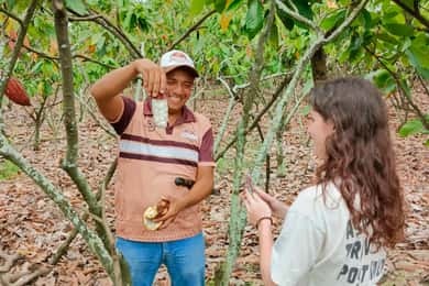 Guayaquil: Cacao Farm Tour with Chocolate Making and Lunch