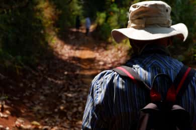 Chiang Mai: Full Day 5 Hill Tribes Tour